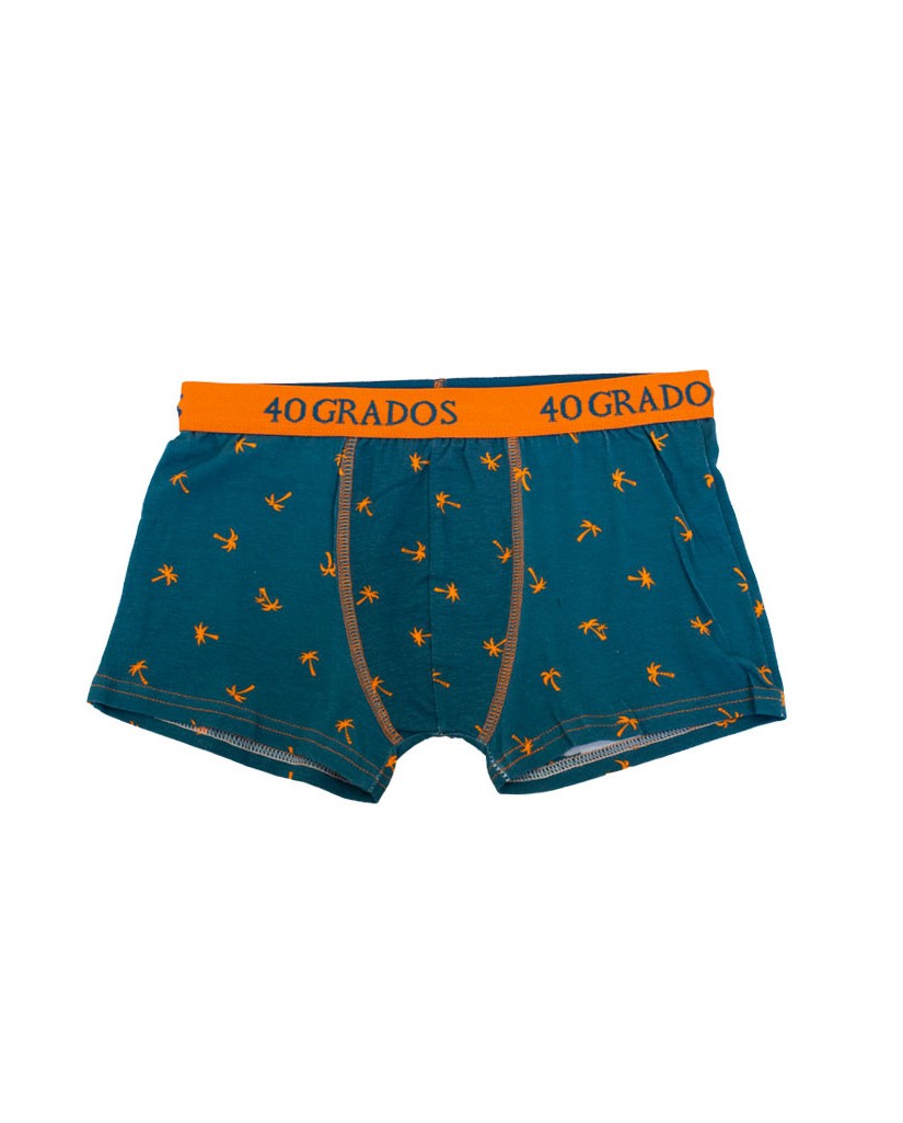 Boxer niño palmeras 40 Grados