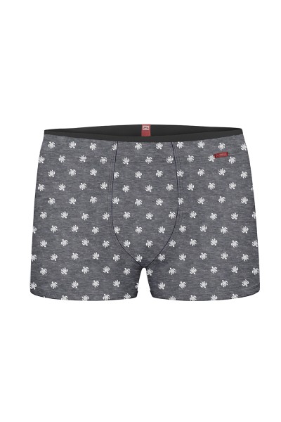 Boxer hombre tortugas Olympus