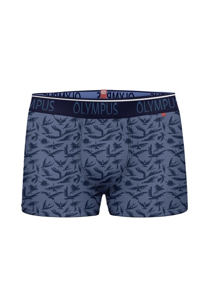 Boxer hombre pájaros Olympus