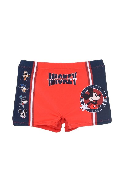 Bóxer niño boxeador Mickey