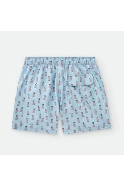 Bañador niño azul celeste pingüinos