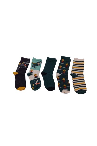 Pack de 5 calcetines niño DINO turquesa "40 Grados"