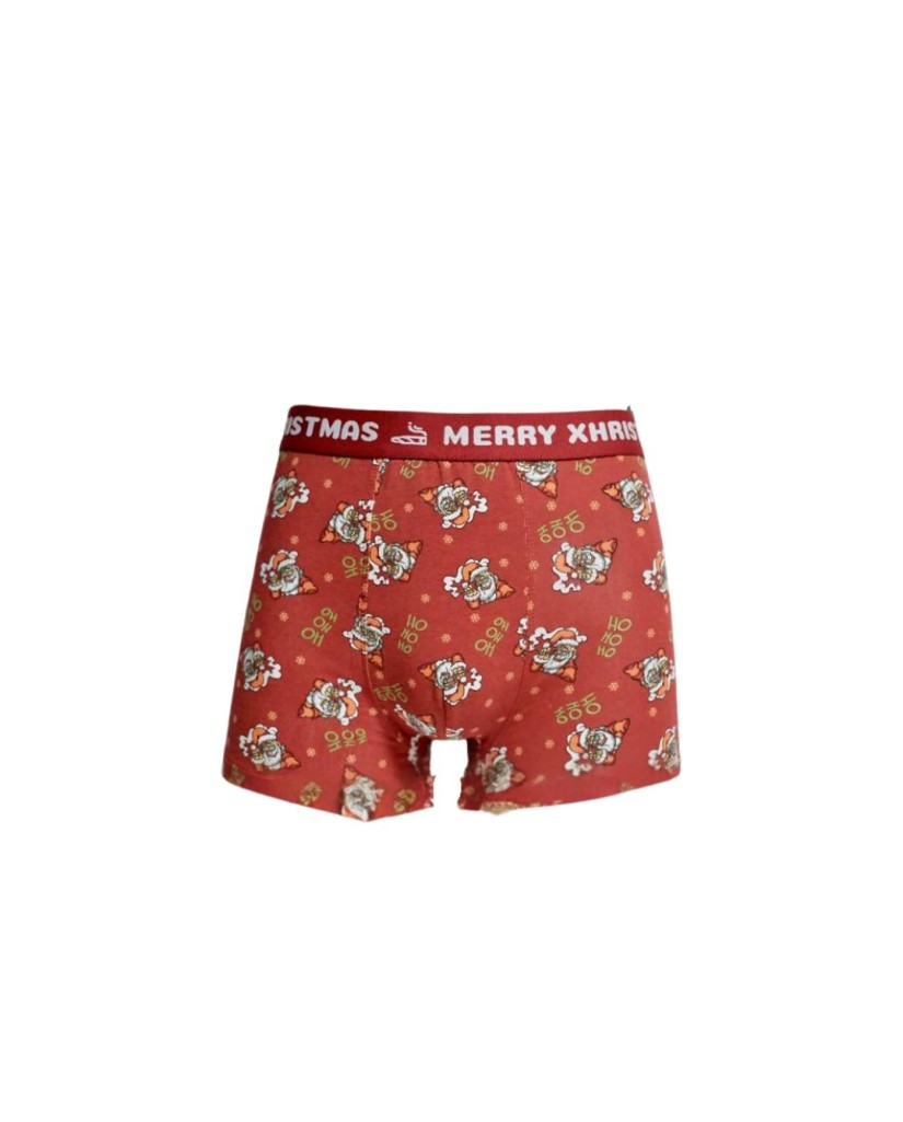 Bóxer navidad hombre Papa Noel
