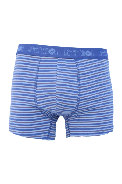 Bóxer hombre azul rayas