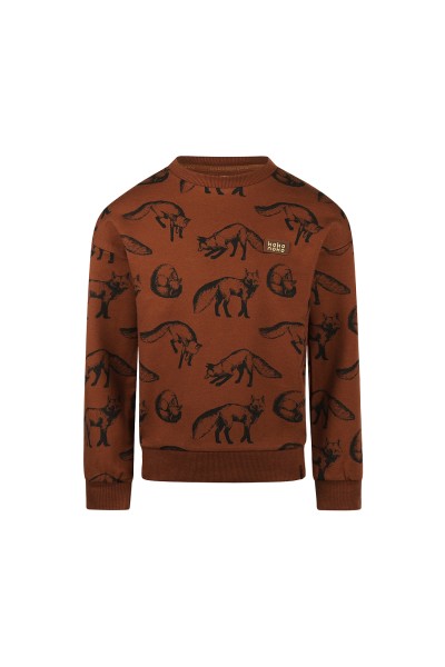 O56879-37GRA Sudadera niño Teja Fox