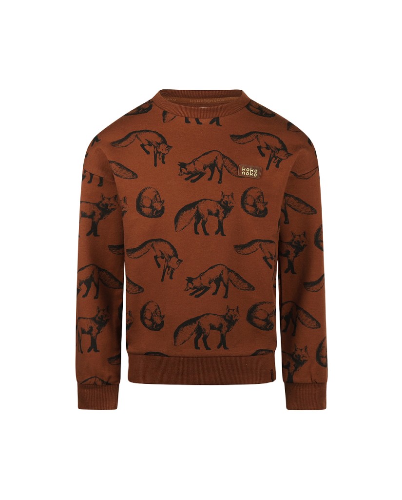 O56879-37GRA Sudadera niño Teja Fox