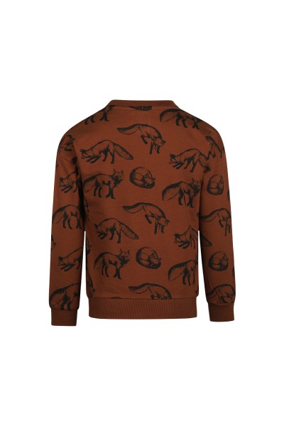 O56879-37GRA Sudadera niño Teja Fox