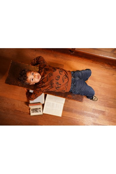 O56879-37GRA Sudadera niño Teja Fox