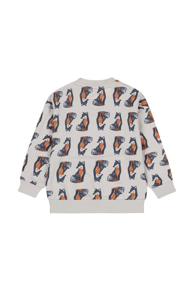 O56723721-35GRA Conjunto 2 piezas niño Fox