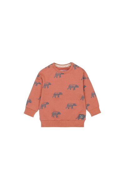 O56632652-35GRA Conjunto 2 piezas naranja Osos