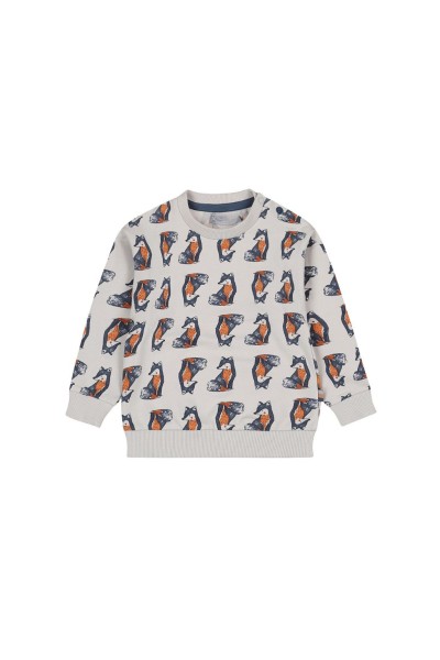 O56723721-35GRA Conjunto 2 piezas niño Fox