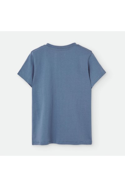 642-06 Camiseta niño manzana manga corta