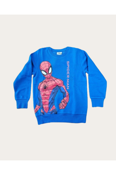 S52181494NI Sudadera azul...