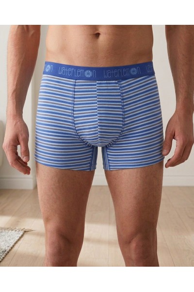 WT6RAYASA Bóxer Hombre azul "Rayas"