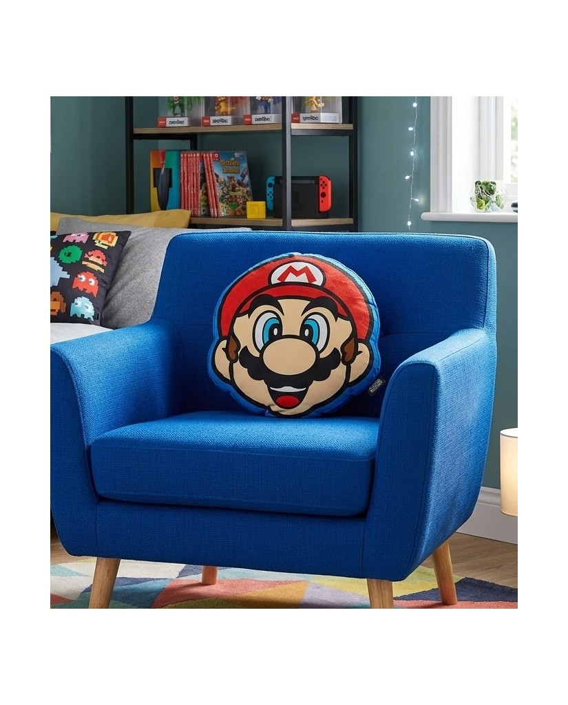 1032 Cojin 3D Mario Bross