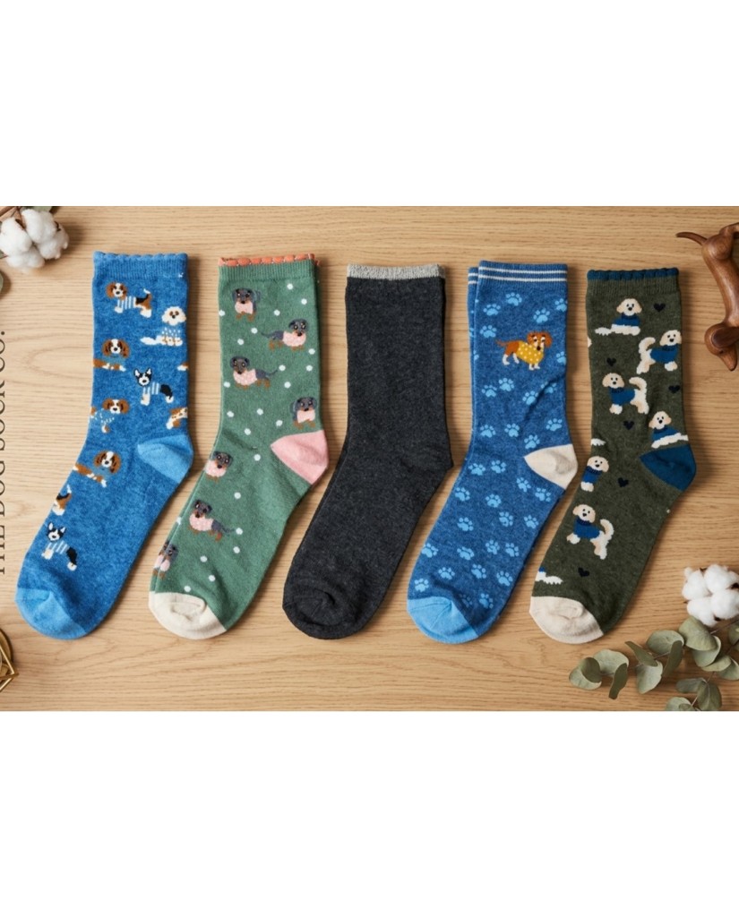 EHW2628 Pack 5 Calcetines de mujer